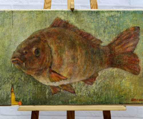 Run Closed and Fish